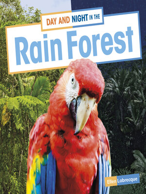cover image of Day and Night in the Rain Forest